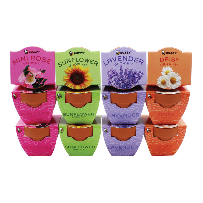 Bright Mini Terracotta Grow Pots | Assorted 12-pack