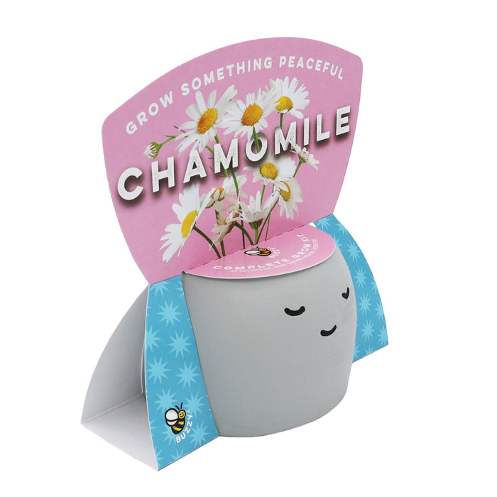 Chamomile Grow Kit | Peaceful Pot Herb Kit