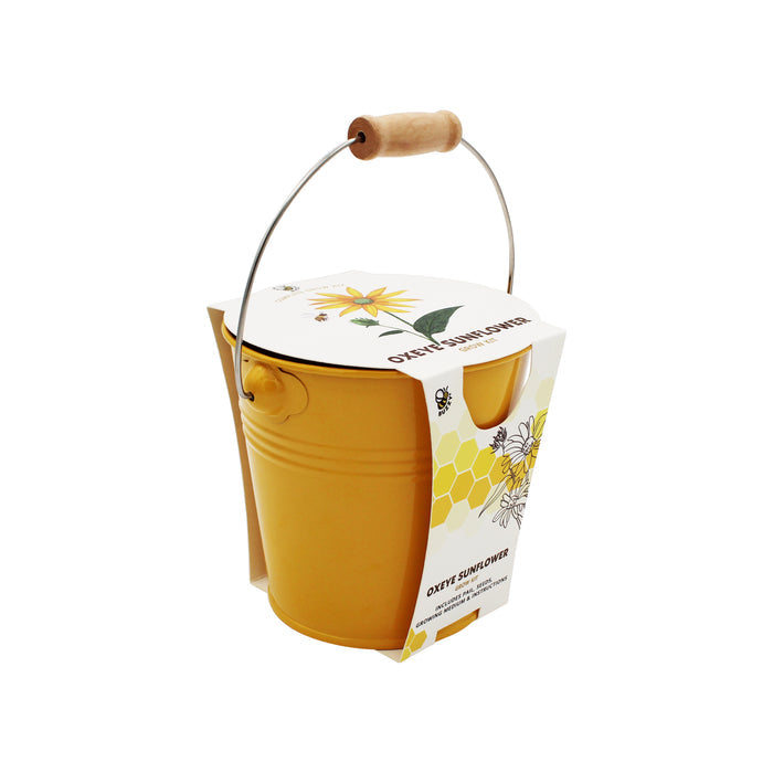 Pollinator Bundle | Wildflower Seed Ball & Flower Pail Kits