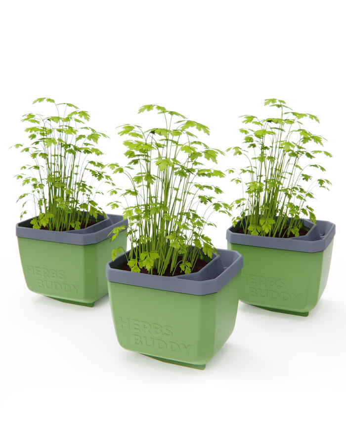 Self-Watering Herb Planters | Indoor Herb Garden (3 Pack)