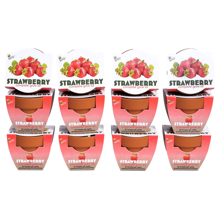Strawberry Grow Kits | Classic Mini Terracotta Pots (12 Pack)