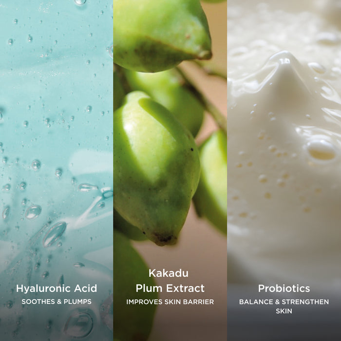 Three-panel ingredient image featuring hyaluronic acid gel with air bubbles, Kakadu plum fruit, and creamy probiotics, highlighting ingredients that hydrate, support the skin barrier, and help balance the skin.