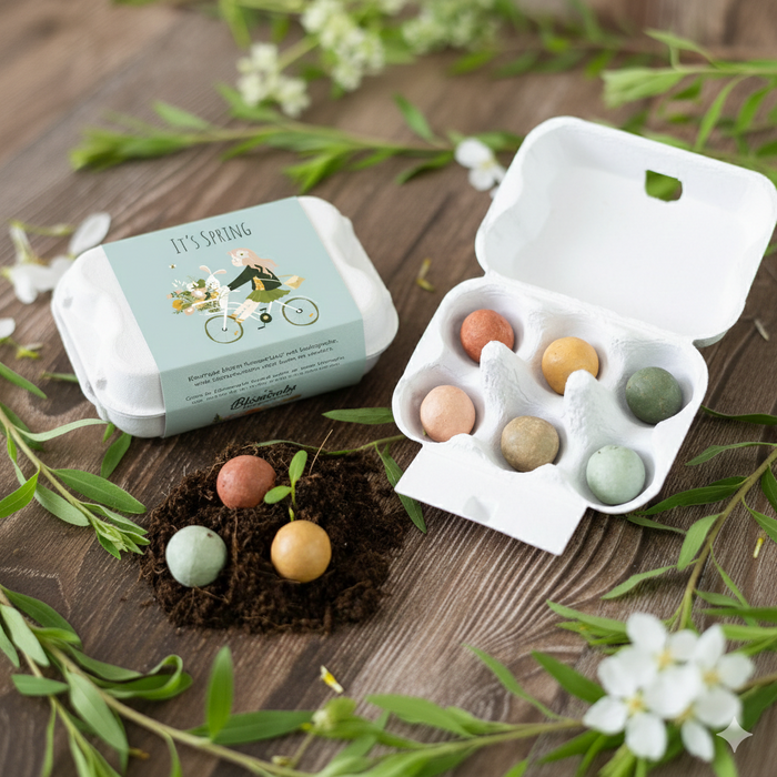 Wildflower Seed Ball Gift Box | 'It's Spring' Mini Egg Carton (6 Seed Balls)