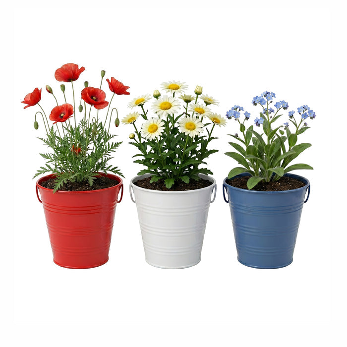 Americana Flower Grow Kit | Red, White & Blue Pails (Set of 3)