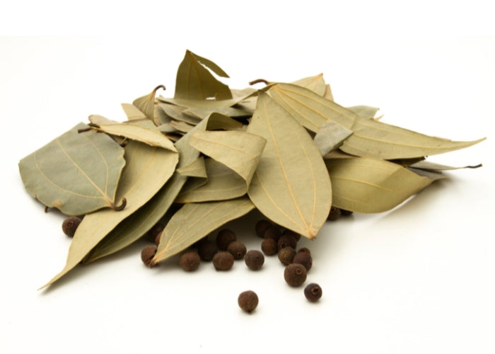 Bay Leaf Essential Oil