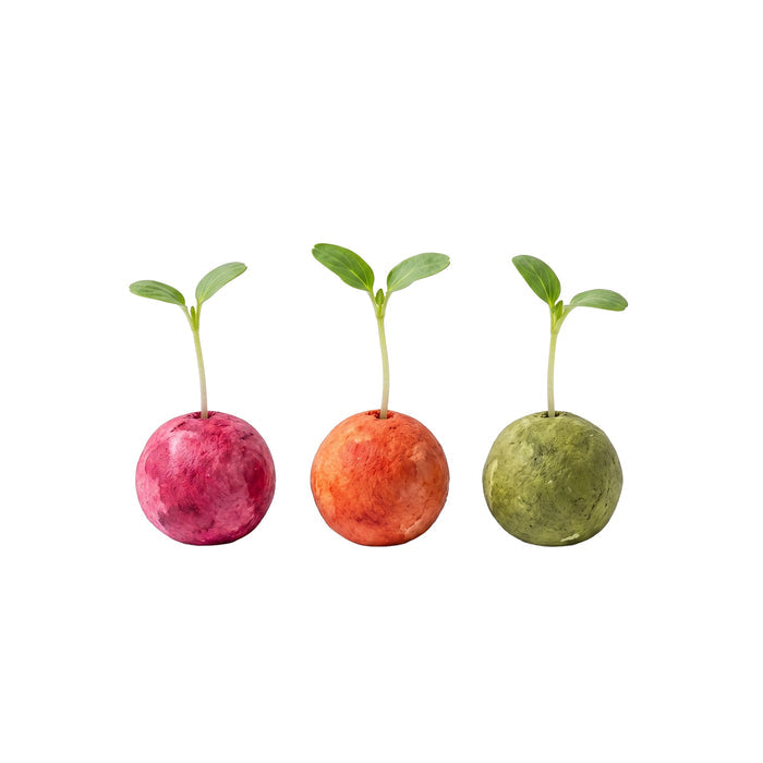 'Bee Happy' Wildflower Seed Balls | Pollinator Flower Mix (3 Count)