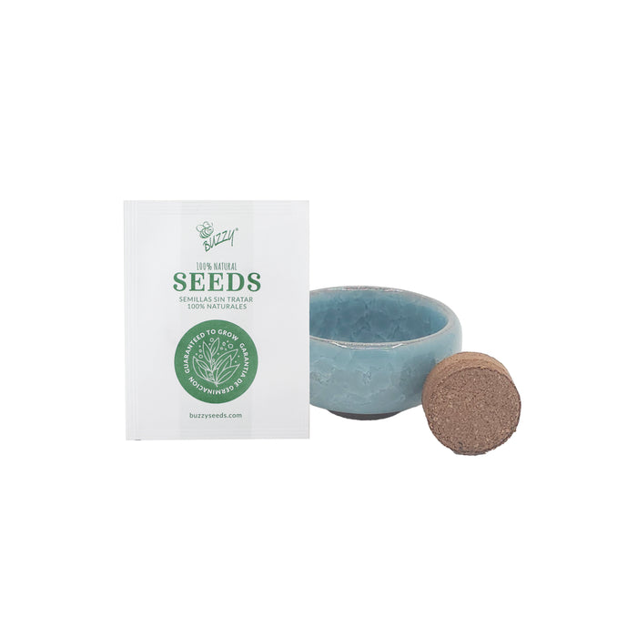 Bonsai Tree Grow Kit | Mini Ceramic Pots (4 Pack)
