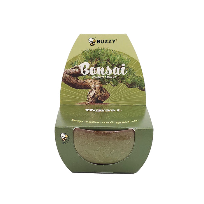 Bonsai Tree Grow Kit | Mini Ceramic Pots (4 Pack)