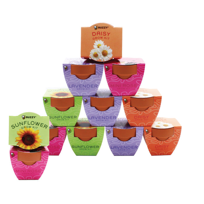 Bright Mini Terracotta Grow Pots | Assorted 12-pack