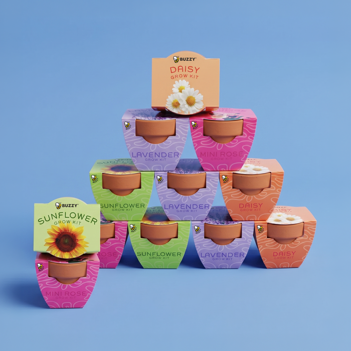 Bright Mini Terracotta Grow Pots | Assorted 12-pack