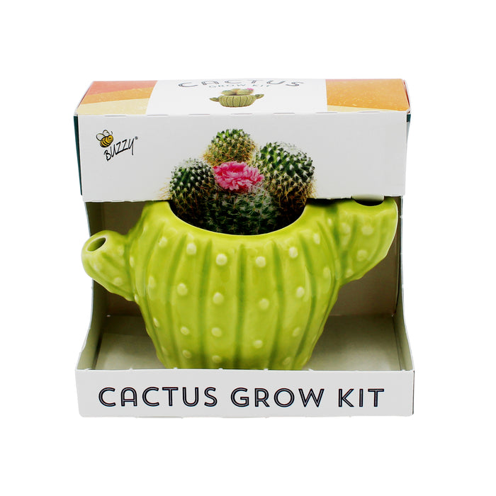 Cactus Grow Kit | Mini Ceramic Planters (4 Pack)