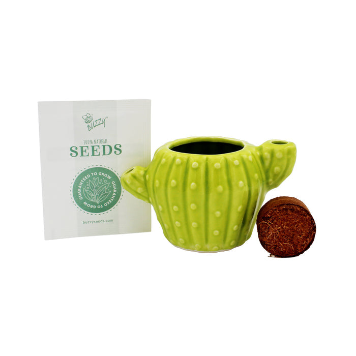 Cactus Grow Kit | Mini Ceramic Planters (4 Pack)