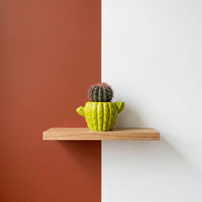 Cactus Grow Kit | Mini Ceramic Planters (4 Pack)