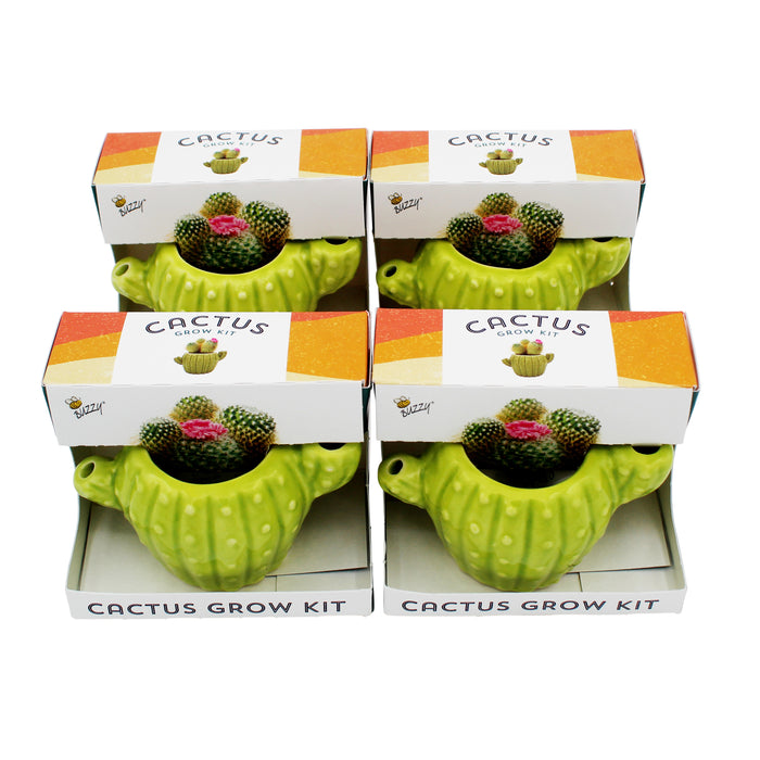 Cactus Grow Kit | Mini Ceramic Planters (4 Pack)