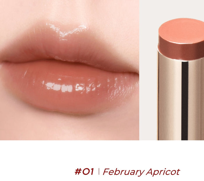 CAREMILLE Moisture Long-wear Sheer Glow Glossy Lipstick T5049