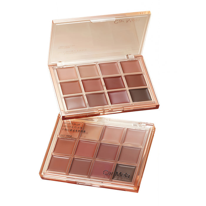 CARMELA 12-color Velvet Matte Lipstick Makeup Palette T5709