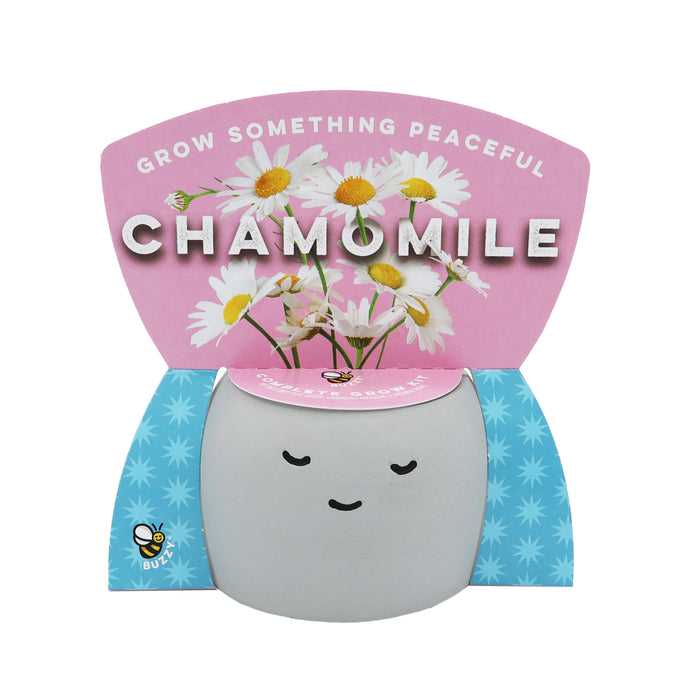 Chamomile Grow Kit | Peaceful Pot Herb Kit