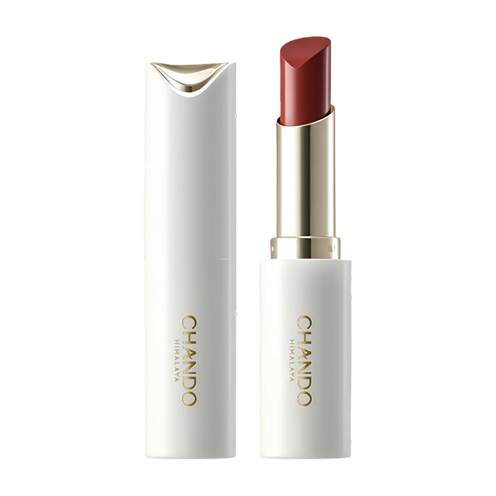 CHANDO Soft Touch Silky Matte Lipstick T5306