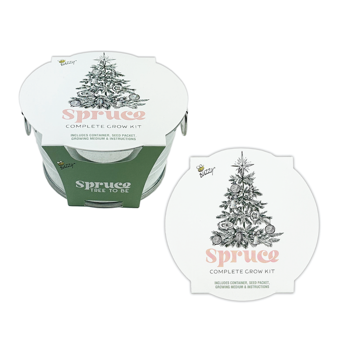 Christmas Tree-To-Be Mini Basin Grow Kit – Grow Your Own Spruce Tree Indoors