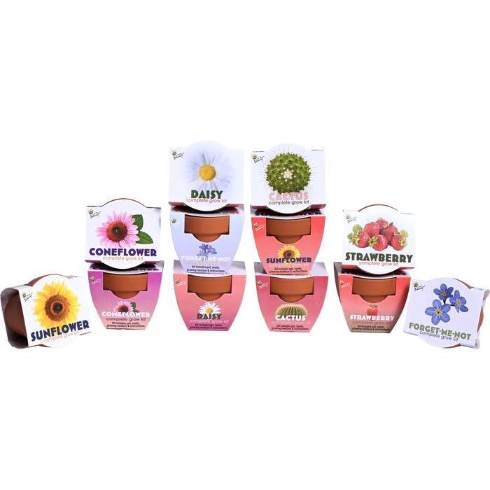 Classic Mini Terracotta Pots | Assorted (12 Pack)