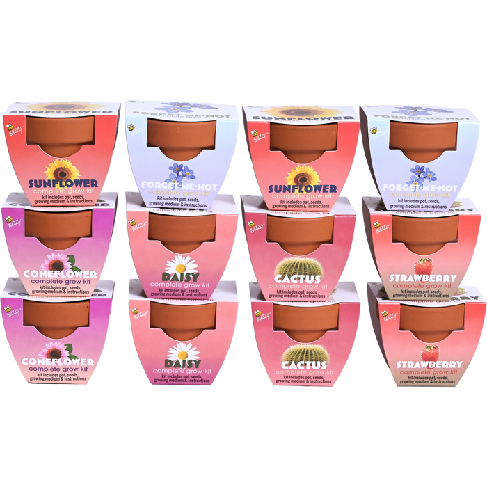 Classic Mini Terracotta Pots | Assorted (12 Pack)