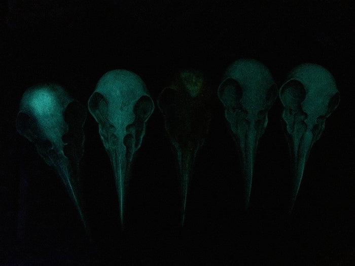 CROW SKULL SCONCE LIGHT
