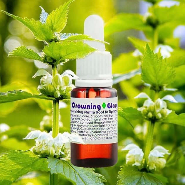 Crowning Glory Hair Oil - Living Libations