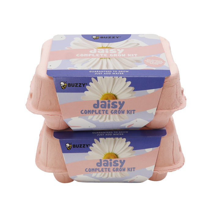 Daisy Grow Kit | Colorful Egg Carton (2 Pack)