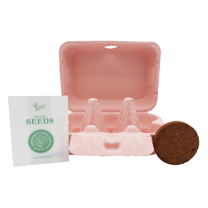 Daisy Grow Kit | Colorful Egg Carton (2 Pack)