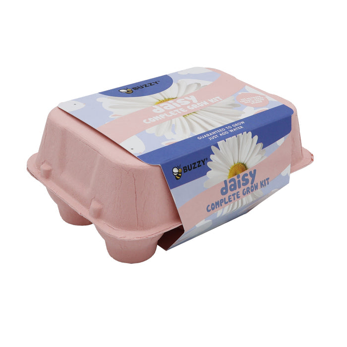 Daisy Grow Kit | Colorful Egg Carton (2 Pack)