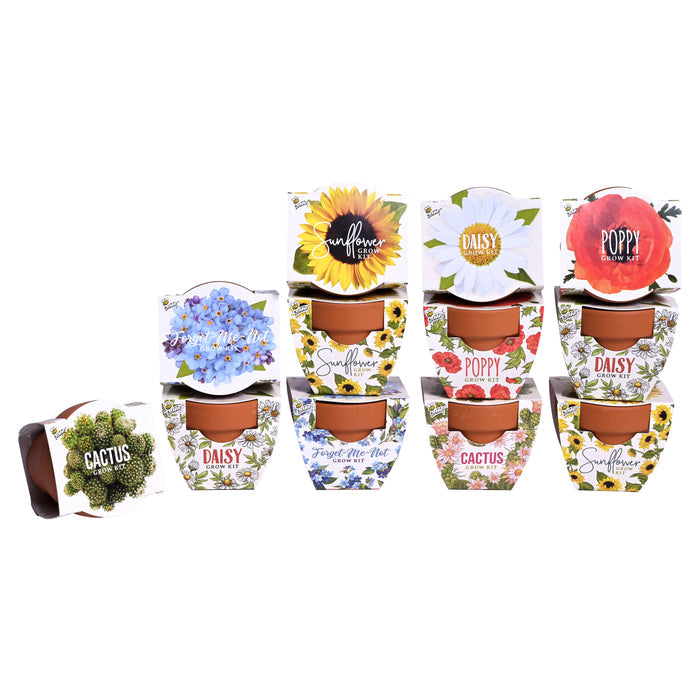 Daydream Mini Terracotta Pots | Assorted (12 Pack)