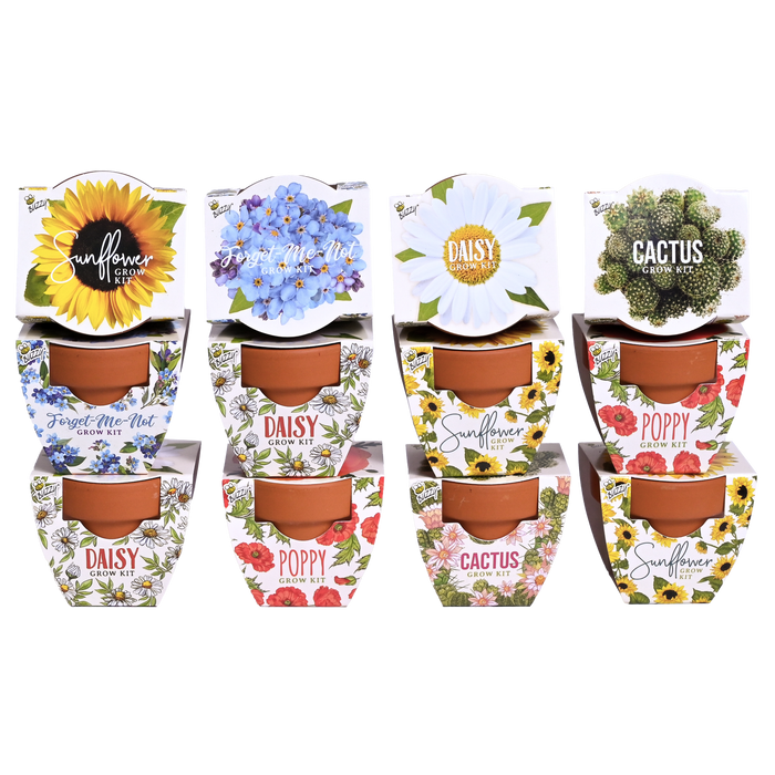 Daydream Mini Terracotta Pots | Assorted (12 Pack)