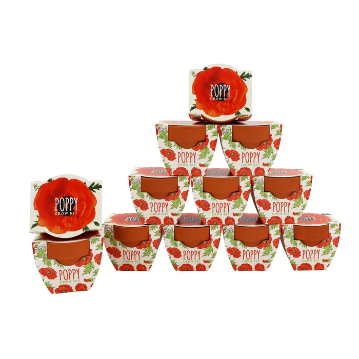 Daydream Mini Terracotta Pots | Poppy (12 Pack)