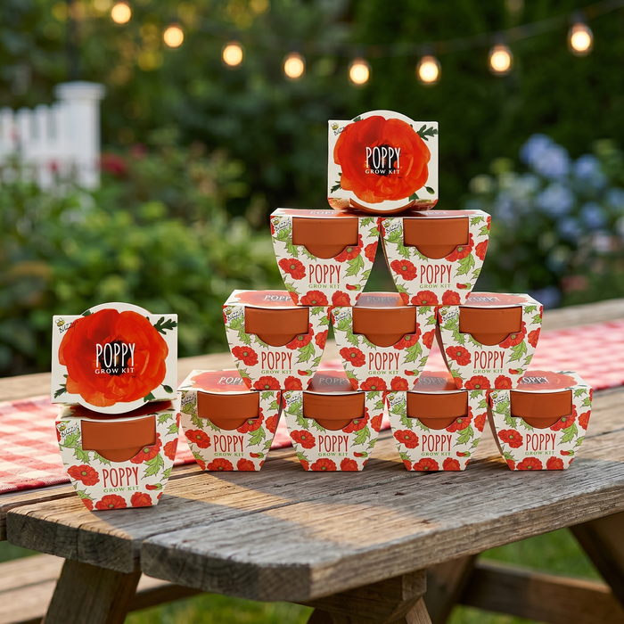 Daydream Mini Terracotta Pots | Poppy (12 Pack)