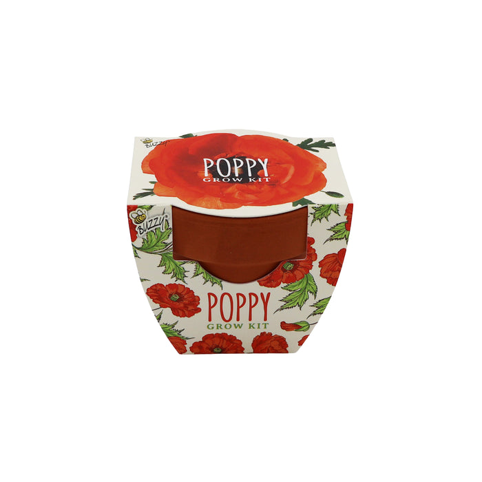 Daydream Mini Terracotta Pots | Poppy (12 Pack)