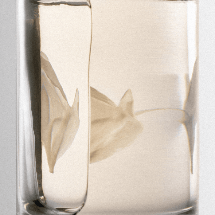 NONFICTION Parfum DEW & LIGHT Eau de Parfum