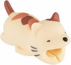 Cat 1