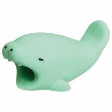 Dolphin