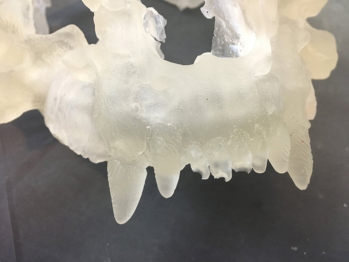 FATALIS HELM BLANK-CLEAR CAST