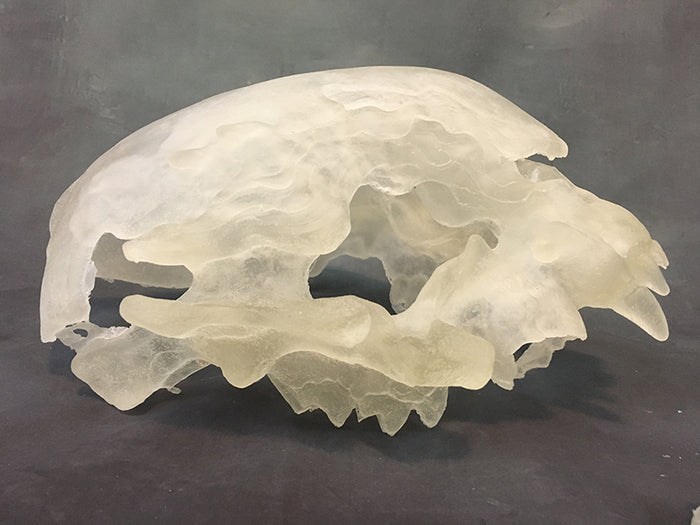 FATALIS HELM BLANK-CLEAR CAST