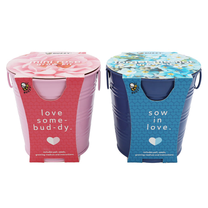 Flower Grow Kit | Mini Rose & Forget-Me-Not (2 Pack)