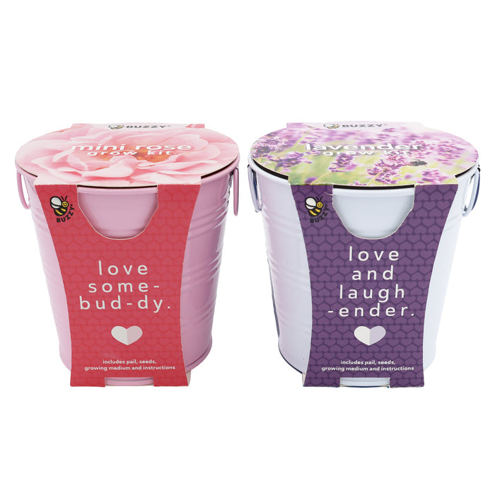 Flower Grow Kit | Mini Rose & Lavender (2 Pack)