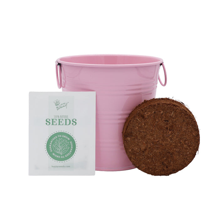 Flower Grow Kit | Mini Rose & Lavender (2 Pack)