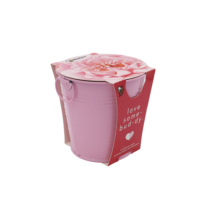 Flower Grow Kit | Mini Rose & Lavender (2 Pack)