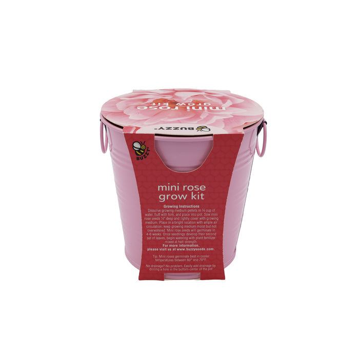 Flower Grow Kit | Mini Rose & Lavender (2 Pack)