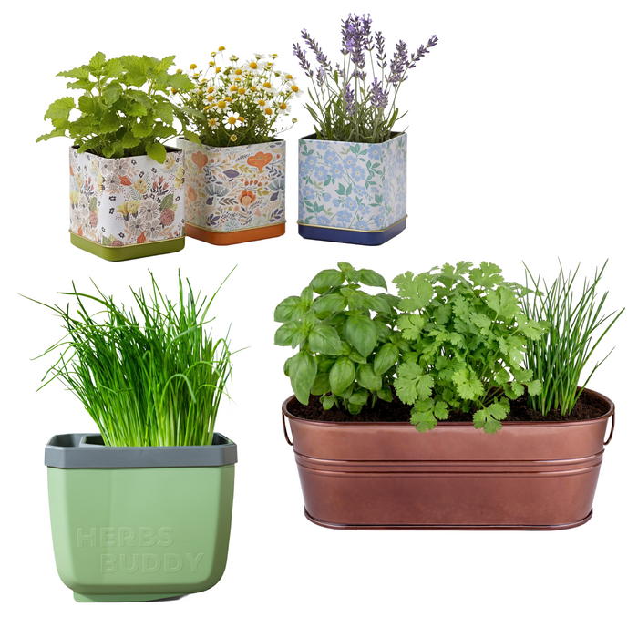 Foodie Bundle | Herbal Tea & Culinary Herb Kits