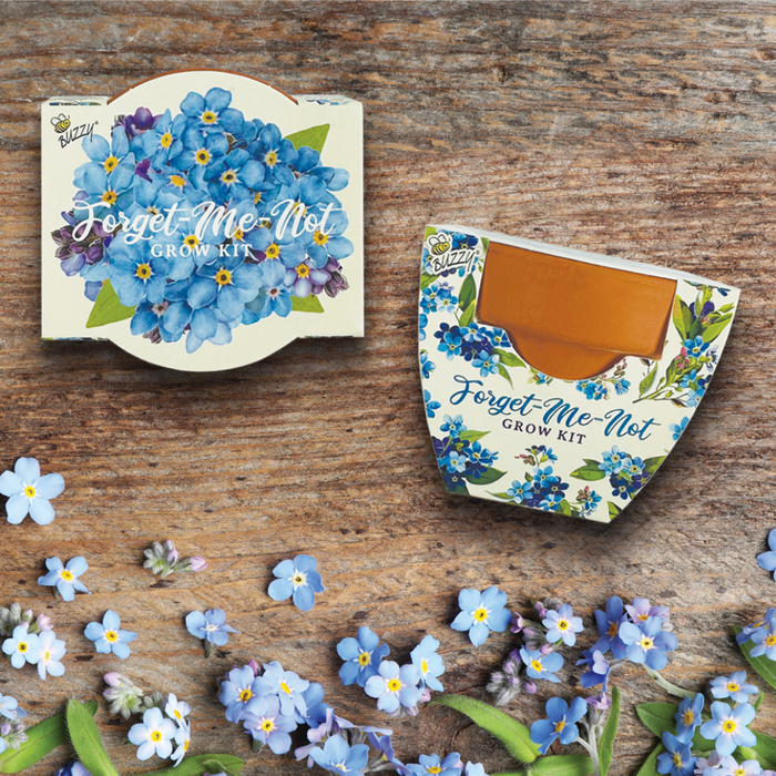 Forget-Me-Not Grow Kits | Daydream Mini Terracotta Pots (12 Pack)