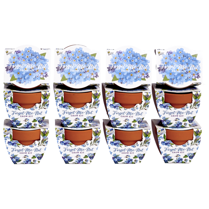 Forget-Me-Not Grow Kits | Daydream Mini Terracotta Pots (12 Pack)