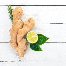 Fragrance Oil - Fresh Ginger Lime (BBW Dupe)
