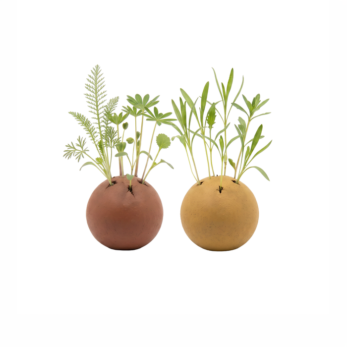 'Grow Green' Wildflower Seed Balls | Pollinator Flower Mix (2 Count)